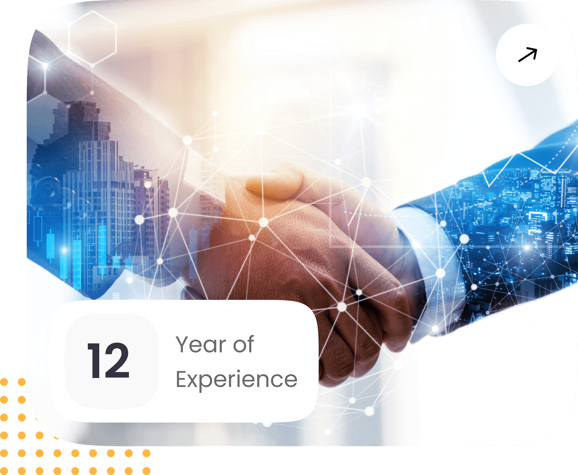 12+ Years of Experience